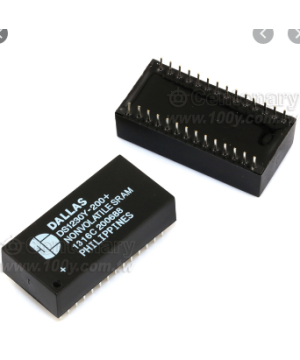 DS1230Y-100+